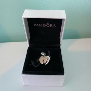 Pandora Part of My Heart Charm